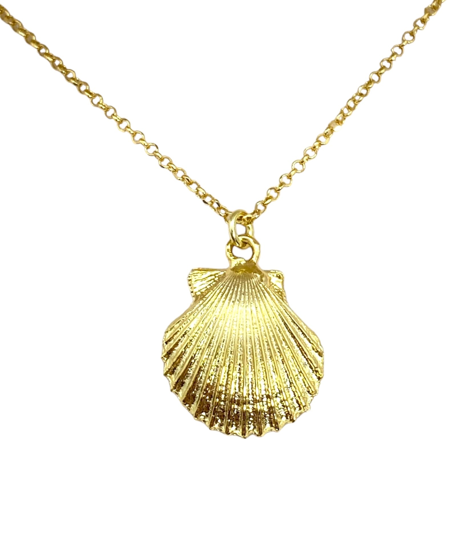 Collana conchiglia - Shine Gioielli